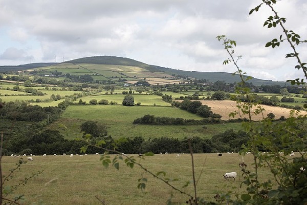 Wexford  Ireland