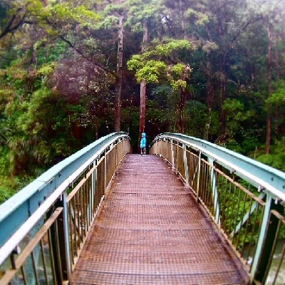 Whangarei  New Zealand