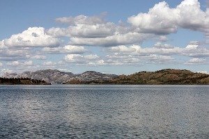 Whitehorse
