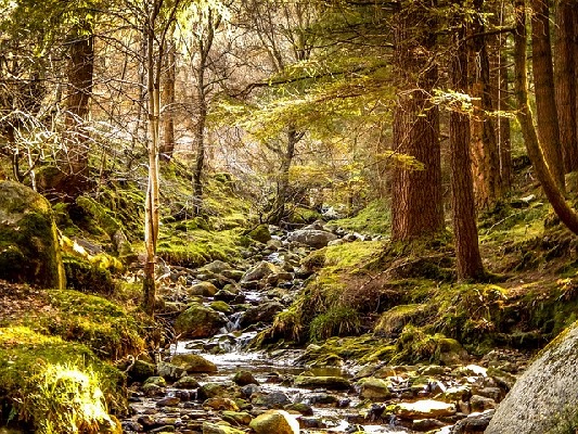 Wicklow  Ireland