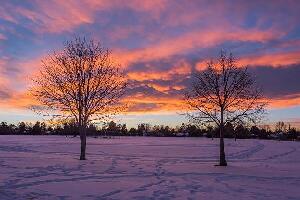 Winter Park