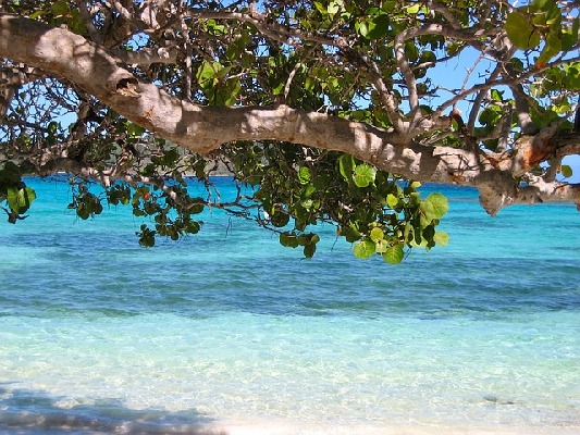Worthing  Barbados