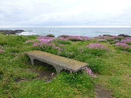 Yachats