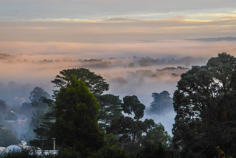 Yarra Valley  Australia