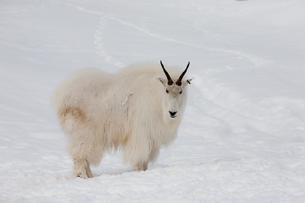 Yukon Canada