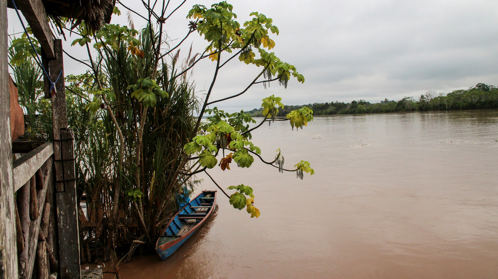 Yurimaguas  Peru