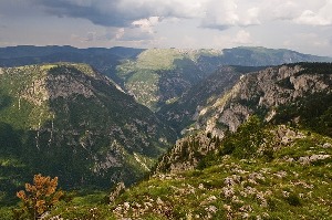 Zabljak