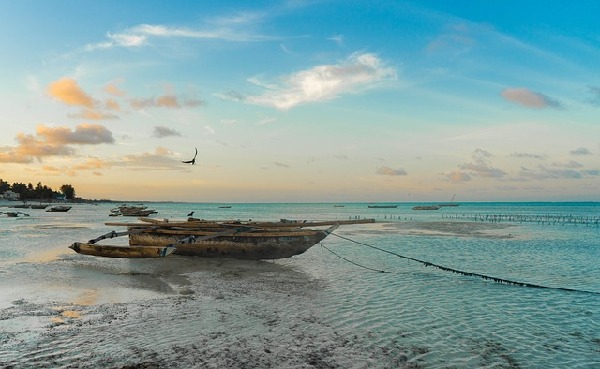 Zanzibar  Tanzania