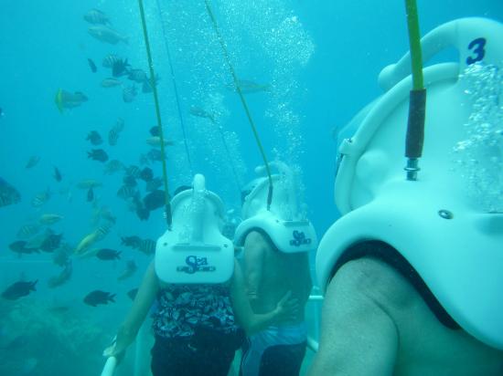 Where to Sea TREK
