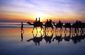The Best Travelled