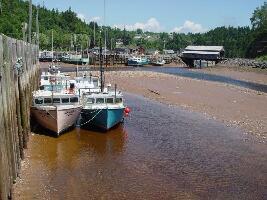 Advocate Harbour (#236)