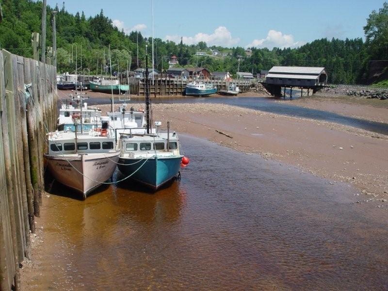 Advocate Harbour (#236)