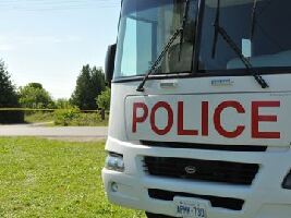 Latest News SEE MORE