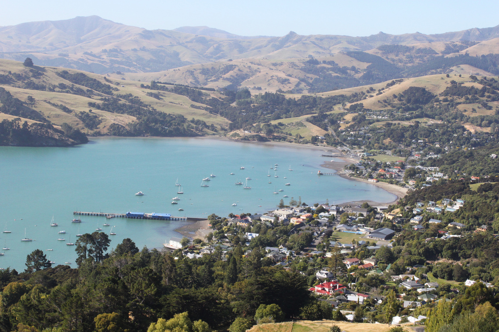 Akaroa Seal Colony Tours, New Zealand