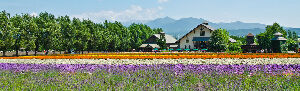 Japan Hotels
