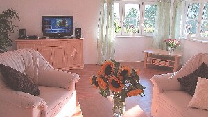 Basel apartments, houses and flats