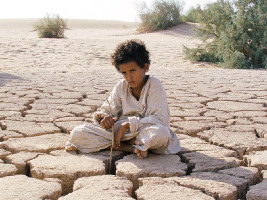 Saudi Arabia Ranch