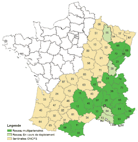 Le loup en France