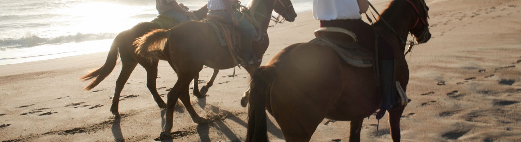 The Beaches of Acapulco