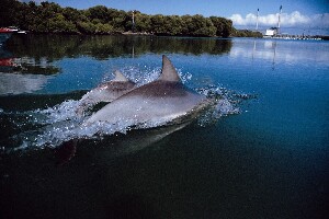 Where To Kayak