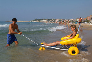 Beach Trotters