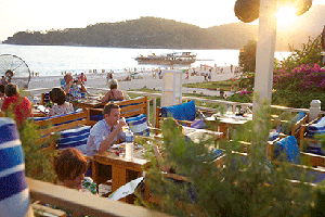 Welcome to Buzz Beach Bar