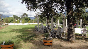 Welcome to Solms-Delta