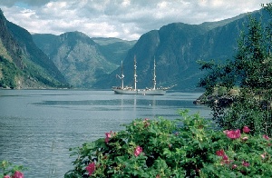 the essence of the fjords