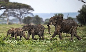 Kenya
