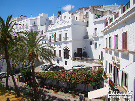 Vejer.com