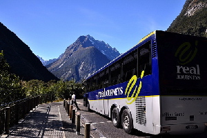 Bus Travel NZ