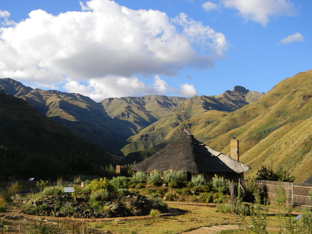 Governments on the WWW: Lesotho