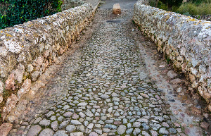 Cala San Vicente Spain Tour