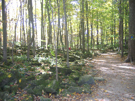 Campbellville Canada Lake