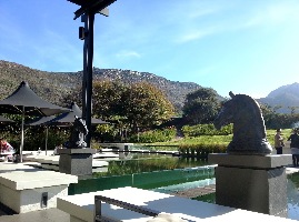 Steenberg Farm