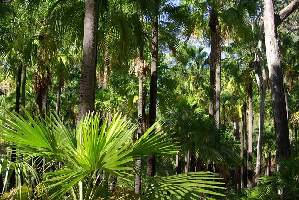Carnarvon Australia Resort