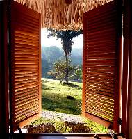 Parrot Nest Lodge