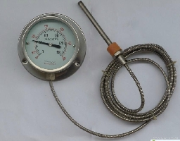 Thermometer and Pressure Gauge Manufacturer