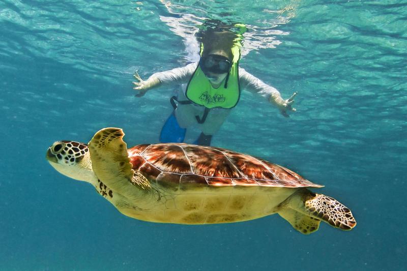 Snorkel Xtreme Tour from Playa del Carmen
