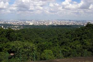 Eco Tours