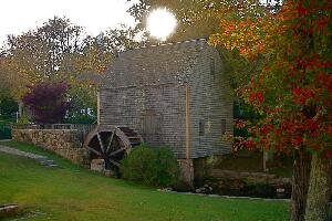 Autumn on the Cape