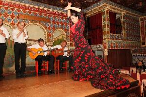 Flamenco Masterclass and Show at Torres Bermejas