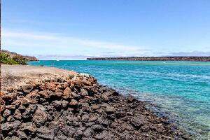 Galapagos Flash - 5***** Hotel - 4 Days