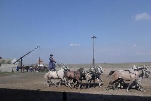 Puszta Tour