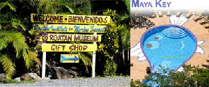 Welcome To Maya Key