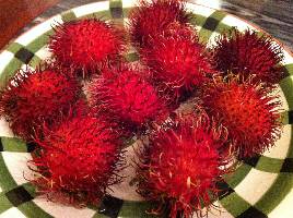Rambutan