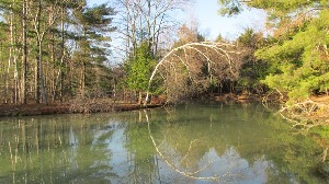 The Leelanau Conservancy