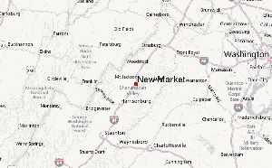 New Market United States Market