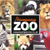 Welcome to Newquay Zoo...