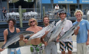 Noosa Charters